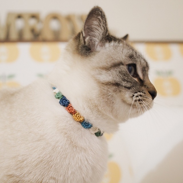 カラフルな丸モチーフを編みつないだ首輪を付けたシャムトラ猫の横顔。