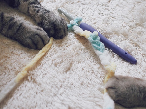 手編みの猫じゃらしを掴んでいる猫たちの手