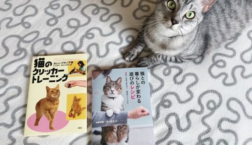 猫のクリッカートレーニングの本とサバトラ猫