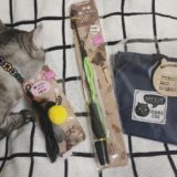 3coinsで購入した猫用グッズ。